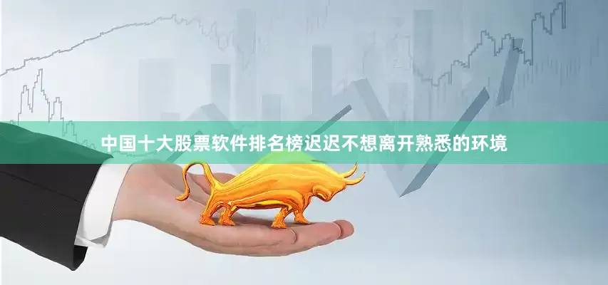 中国十大股票软件排名榜迟迟不想离开熟悉的环境