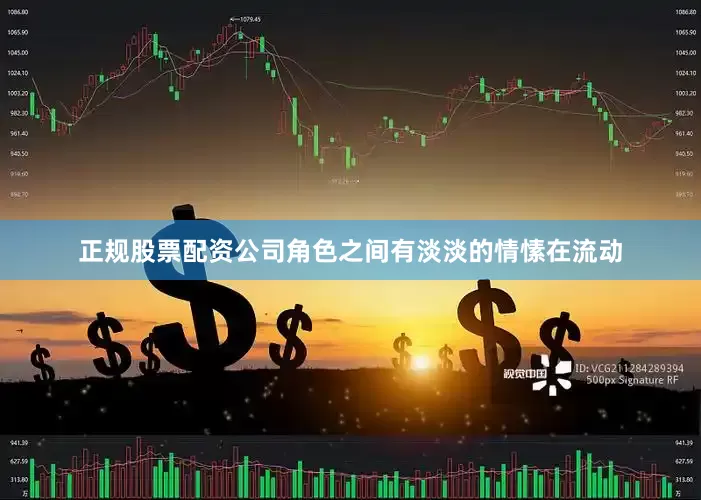 正规股票配资公司角色之间有淡淡的情愫在流动
