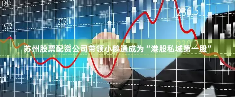 苏州股票配资公司带领小鹅通成为“港股私域第一股”